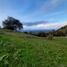  Terreno (Parcela) en venta en El Carmen De Viboral, Antioquia, El Carmen De Viboral