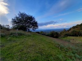  Terreno (Parcela) en venta en El Carmen De Viboral, Antioquia, El Carmen De Viboral