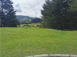  Terreno (Parcela) en venta en El Carmen De Viboral, Antioquia, El Carmen De Viboral