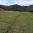 Terrain à vendre à La Ceja, Antioquia, La Ceja, Antioquia, Colombie