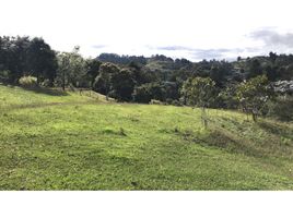 Terrain à vendre à Rionegro, Antioquia, Rionegro, Antioquia