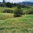 Terrain à vendre à Rionegro, Antioquia, Rionegro