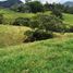 Terrain à vendre à Rionegro, Antioquia, Rionegro