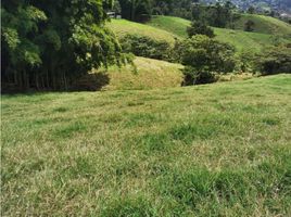 Terrain à vendre à Rionegro, Antioquia, Rionegro