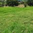 Terrain à vendre à Rionegro, Antioquia, Rionegro