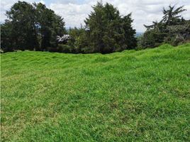 Terrain à vendre à Rionegro, Antioquia, Rionegro