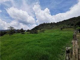  Terreno (Parcela) en venta en Rionegro, Antioquia, Rionegro