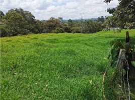  Terreno (Parcela) en venta en Rionegro, Antioquia, Rionegro