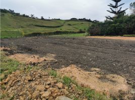 Grundstück zu verkaufen in Guarne, Antioquia, Guarne, Antioquia, Kolumbien