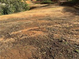  Terreno (Parcela) en venta en El Carmen De Viboral, Antioquia, El Carmen De Viboral