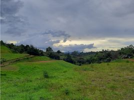  Terreno (Parcela) en venta en Marinilla, Antioquia, Marinilla