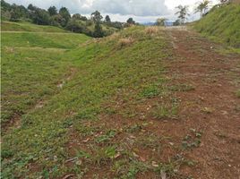  Terreno (Parcela) en venta en Marinilla, Antioquia, Marinilla