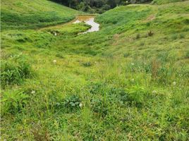  Terreno (Parcela) en venta en Marinilla, Antioquia, Marinilla