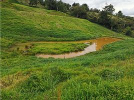  Terreno (Parcela) en venta en Marinilla, Antioquia, Marinilla