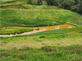  Terreno (Parcela) en venta en Marinilla, Antioquia, Marinilla