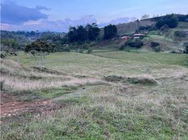 Estudio Casa en venta en Guarne, Antioquia, Guarne