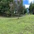  Terreno (Parcela) en venta en Rionegro, Antioquia, Rionegro, Antioquia, Colombia