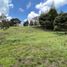  Terreno (Parcela) en venta en Rionegro, Antioquia, Rionegro, Antioquia, Colombia
