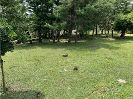  Terreno (Parcela) en venta en Rionegro, Antioquia, Rionegro, Antioquia, Colombia
