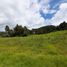 2 Habitación Casa en venta en El Carmen De Viboral, Antioquia, El Carmen De Viboral