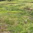 Terrain à vendre à Rionegro, Antioquia, Rionegro, Antioquia