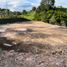  Land for sale in El Carmen De Viboral, Antioquia, El Carmen De Viboral