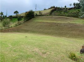  Land for sale in El Carmen De Viboral, Antioquia, El Carmen De Viboral