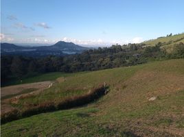  Grundstück zu verkaufen in La Ceja, Antioquia, La Ceja, Antioquia