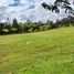 Terrain à vendre à Rionegro, Antioquia, Rionegro, Antioquia, Colombie