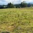  Land for sale in Guarne, Antioquia, Guarne, Antioquia, Colombia