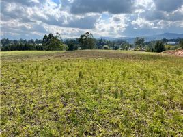  Land for sale in Guarne, Antioquia, Guarne, Antioquia, Colombia