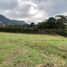  Land for sale in El Carmen De Viboral, Antioquia, El Carmen De Viboral