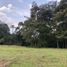  Land for sale in El Carmen De Viboral, Antioquia, El Carmen De Viboral