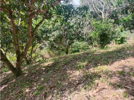  Terreno (Parcela) en venta en La Mesa, Cundinamarca, La Mesa