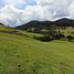  Grundstück zu verkaufen in Rionegro, Antioquia, Rionegro, Antioquia