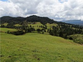 Grundstück zu verkaufen in Rionegro, Antioquia, Rionegro, Antioquia