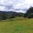 Terrain à vendre à Retiro, Antioquia, Retiro