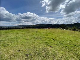 Grundstück zu verkaufen in Rionegro, Antioquia, Rionegro, Antioquia