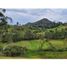  Grundstück zu verkaufen in Rionegro, Antioquia, Rionegro, Antioquia