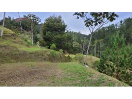  Terreno (Parcela) en venta en Retiro, Antioquia, Retiro, Antioquia, Colombia