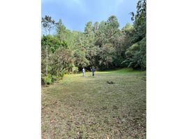  Land for sale in Sabaneta, Antioquia, Sabaneta