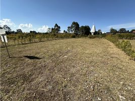Terrain à vendre à Rionegro, Antioquia, Rionegro