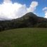 Terrain à vendre à La Ceja, Antioquia, La Ceja, Antioquia, Colombie