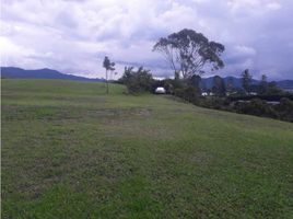 Terrain à vendre à La Ceja, Antioquia, La Ceja, Antioquia, Colombie