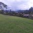 Terrain à vendre à La Ceja, Antioquia, La Ceja, Antioquia, Colombie