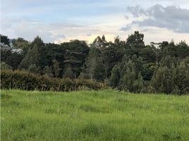  Land for sale in Envigado, Antioquia, Envigado