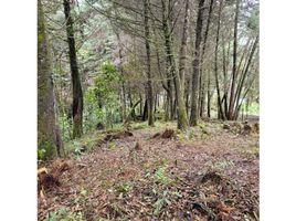  Terreno (Parcela) en venta en Retiro, Antioquia, Retiro