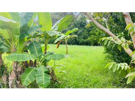  Land for sale in Tolima, Carmen De Apicala, Tolima