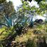  Terreno (Parcela) en venta en San Cristobal De Las Casas, Chiapas, San Cristobal De Las Casas