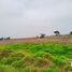  Land for sale in Chiconcuac, Mexico, Chiconcuac